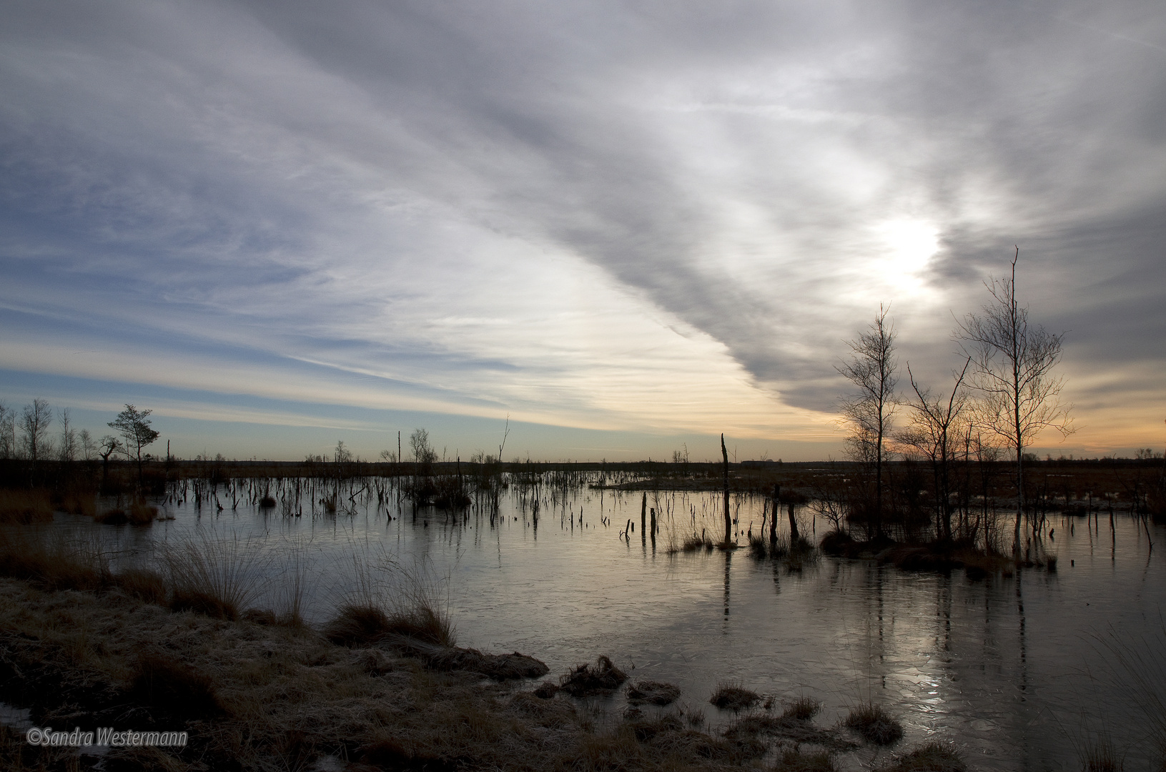 Winterzeit im Moor II