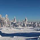 Winterzeit im Schwarzwald