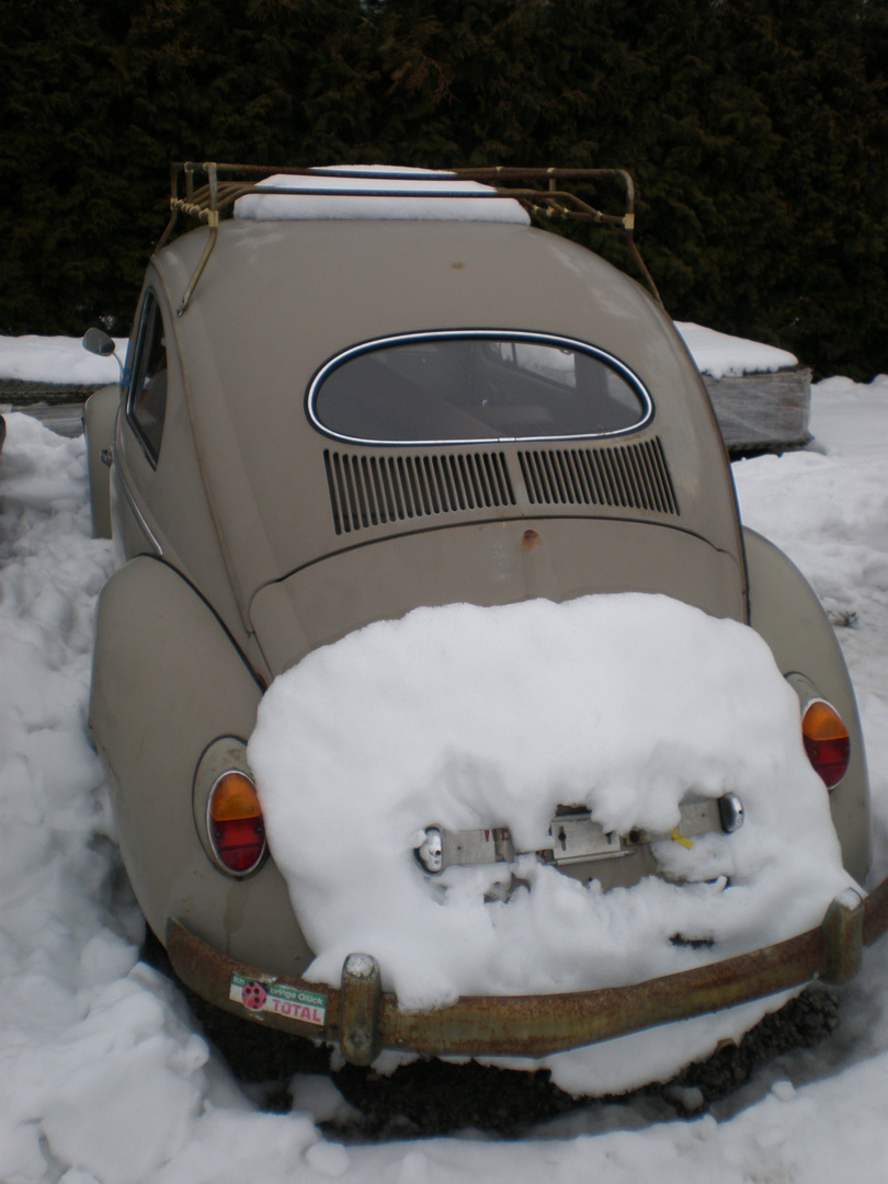 Winterzeit in Österreich"ovales Glück"