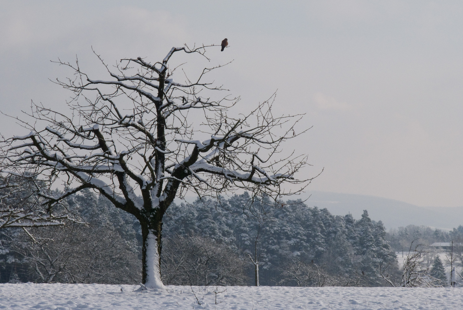 Winterzeit - Ruhezeit