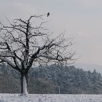 Winterzeit - Ruhezeit