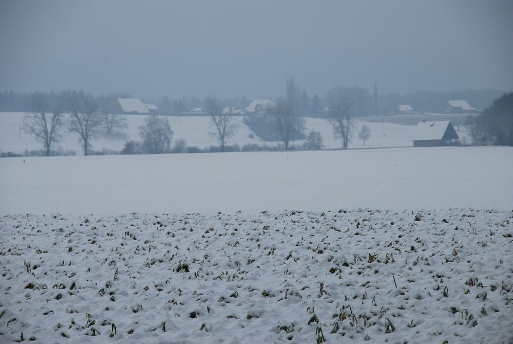 Winterzeit - Ruhezeit -Tagtraumzeit