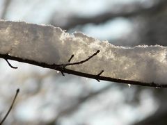 Winterzeit - Weihnachtszeit 7