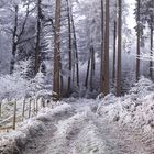 Winterzeit-Weihnachtszeit