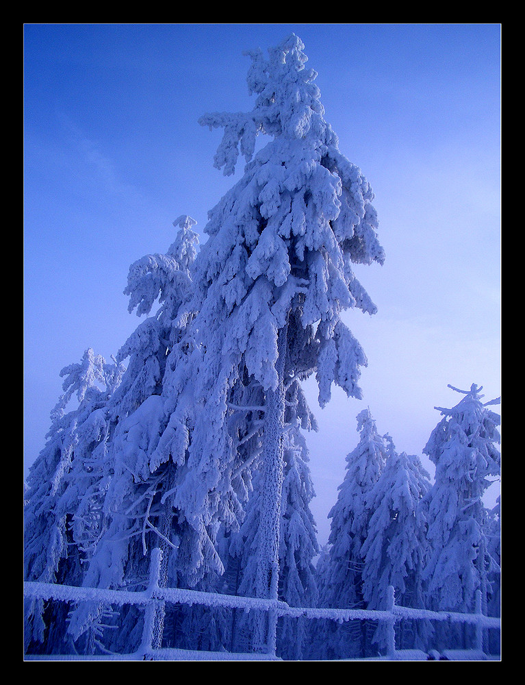 Winterzeit-Zeit für Winter