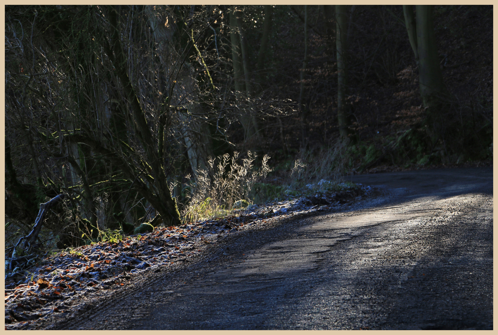 wintry lane