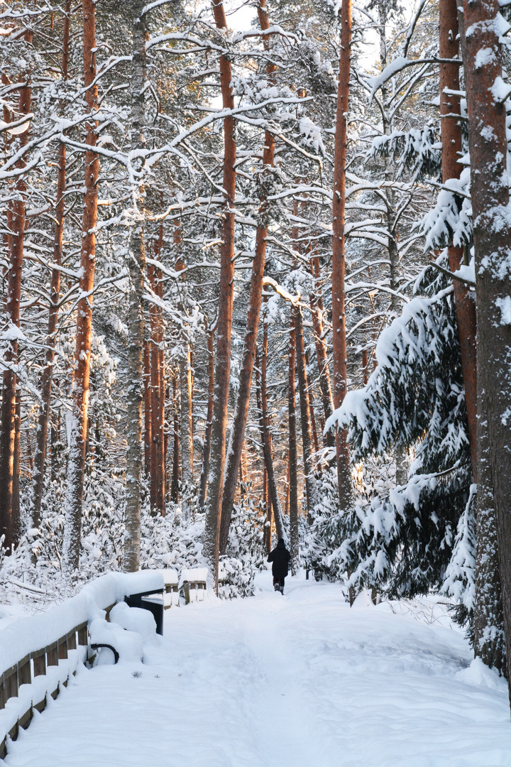 Wintry park on Haaga