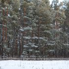 Wintry park on Haaga