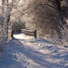 Wintry path in Helsinki