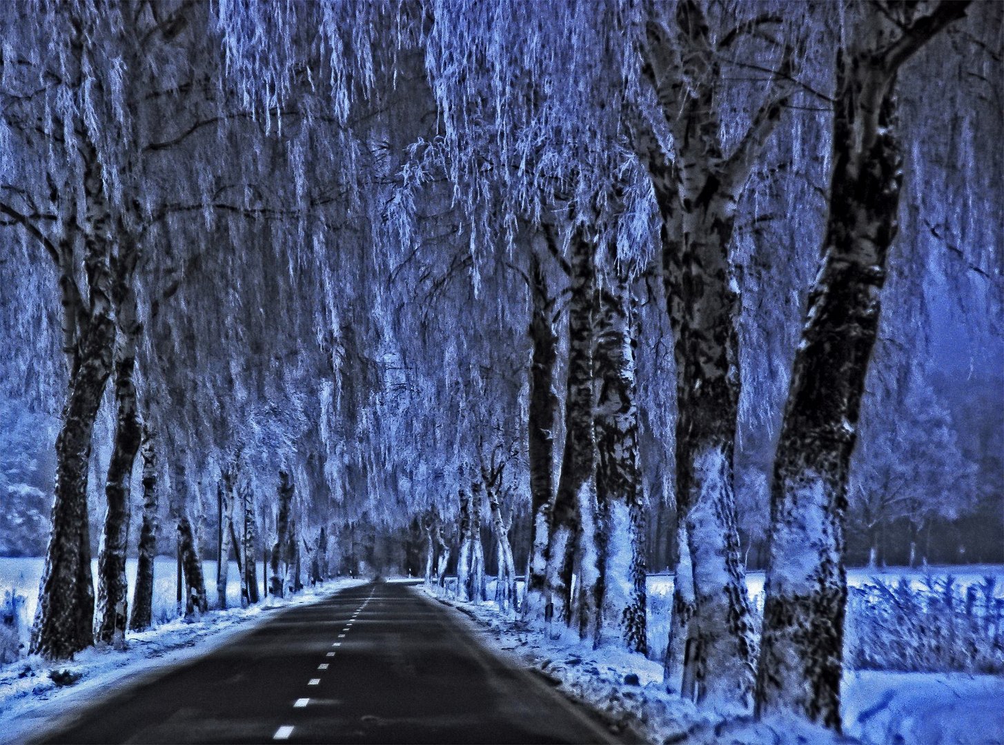 wintry road