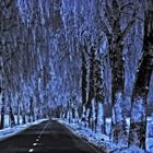 wintry road