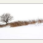 ~ wintry scene ~