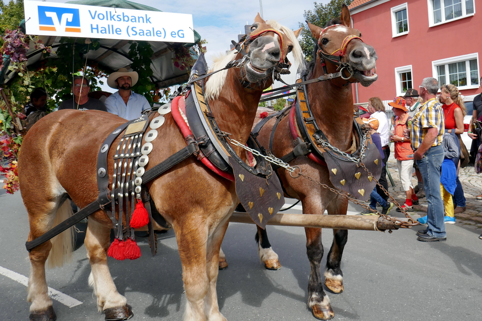 Winzerfest Freyburg 2018_02