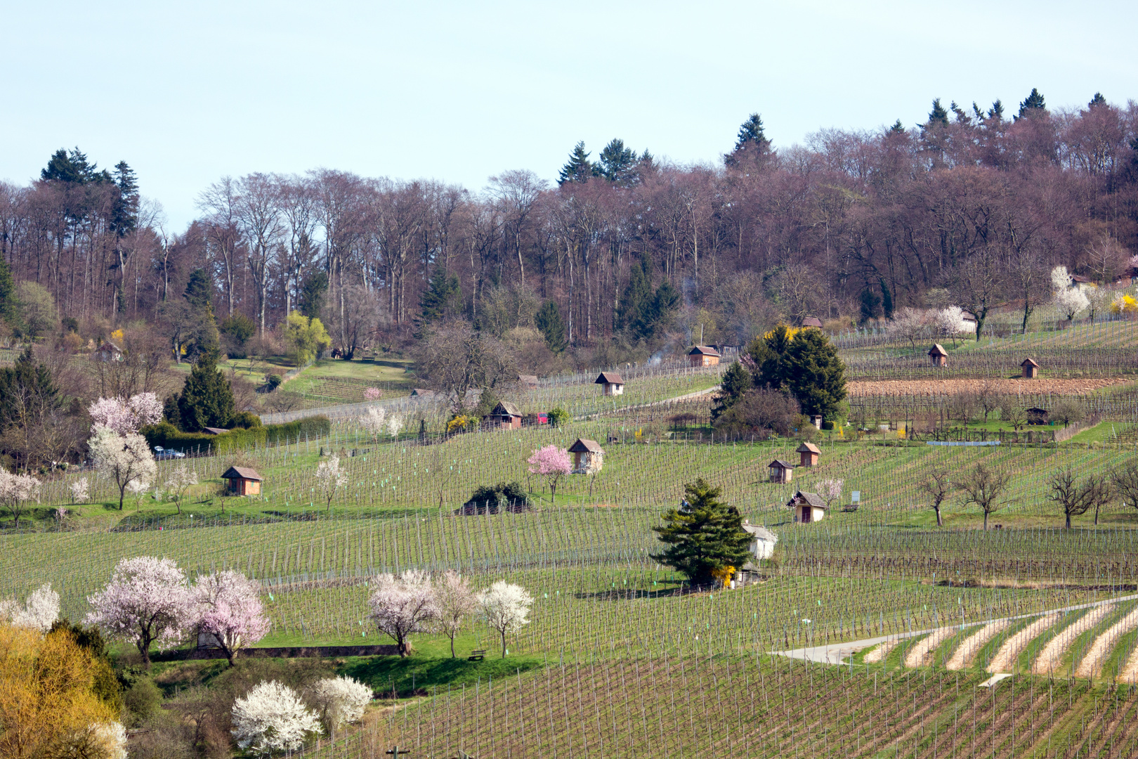 Winzerhäuschen bei Heppenheim an der Bergstraße