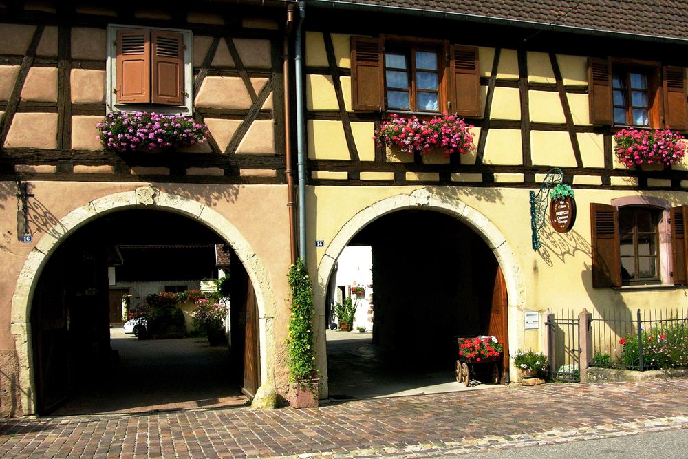 Winzerhäuser in Eguisheim - Elsaß