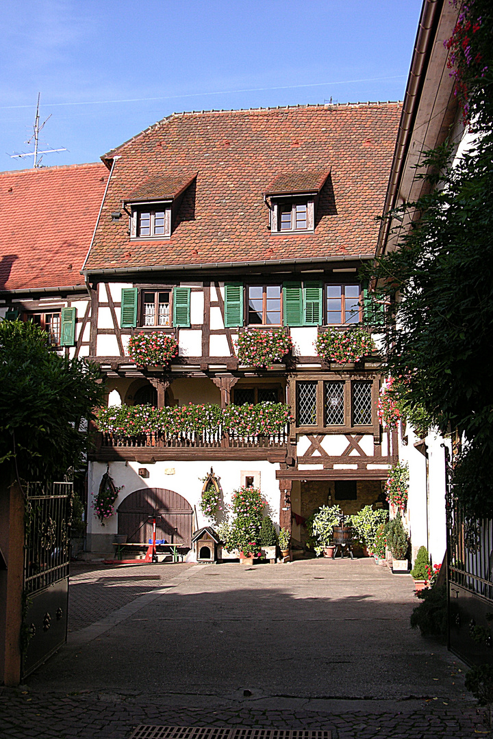 Winzerhof in Eguisheim - Altstadt ( im Hochformat )