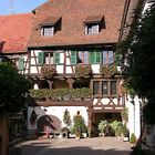 Winzerhof in Eguisheim - Altstadt ( im Hochformat )