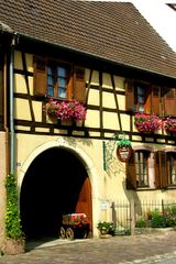 Winzerhof in Eguisheim - Elsaß