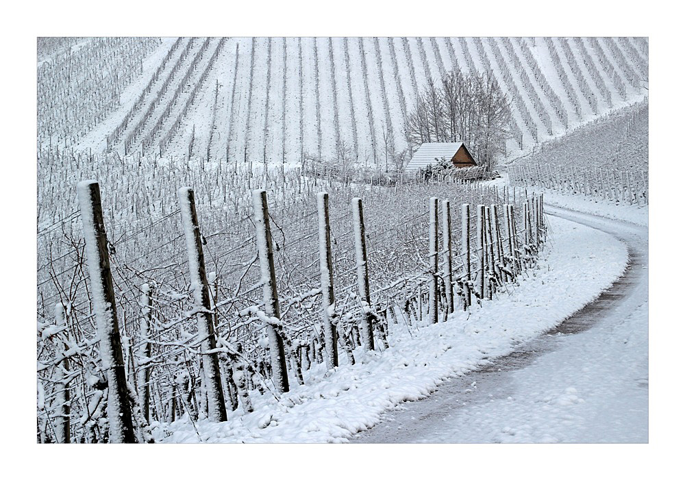 Winzerhütte