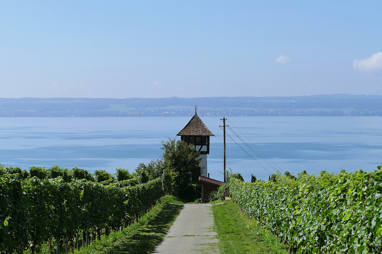 Winzerturm oberhalb der Haltnau