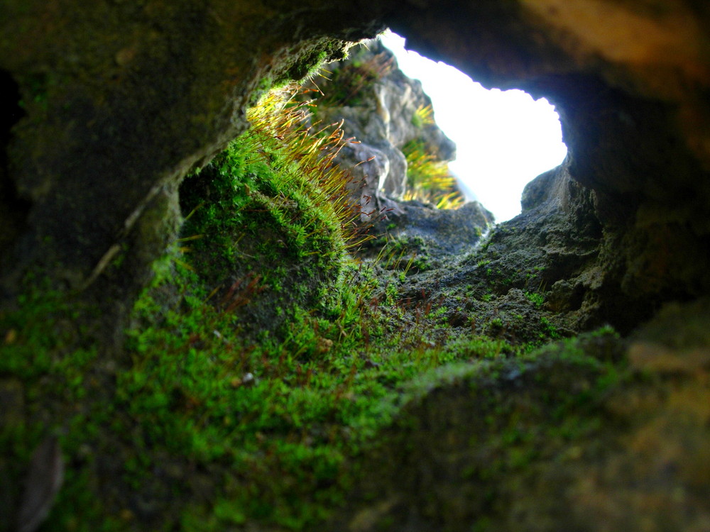 Winzige Höhle