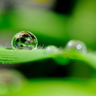 Winziger Wassertropfen ganz groß