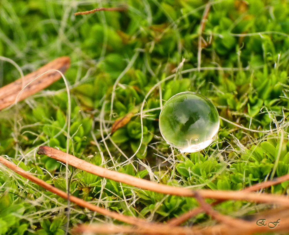 Winziges Wunderland mit Wasserkugel