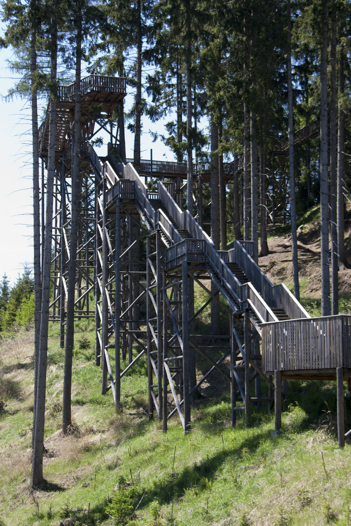 Wipfelwanderweg Rachau_1