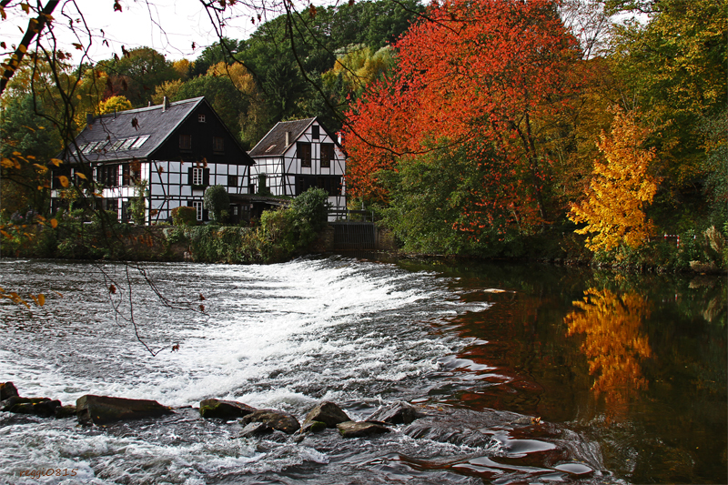 Wipperkotten im Herbst