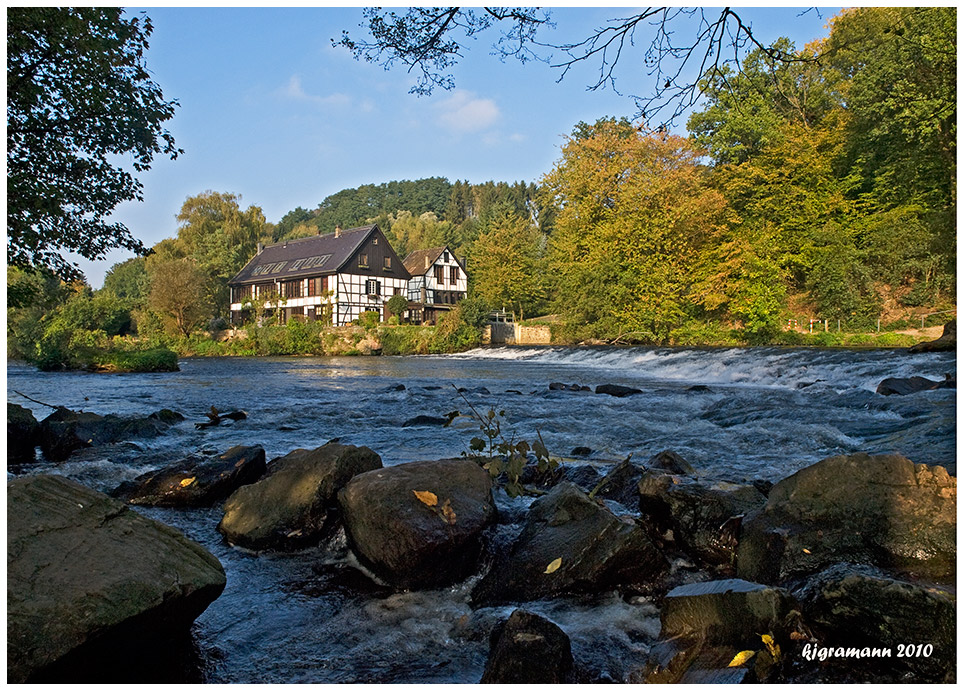 wipperkotten im herbst......