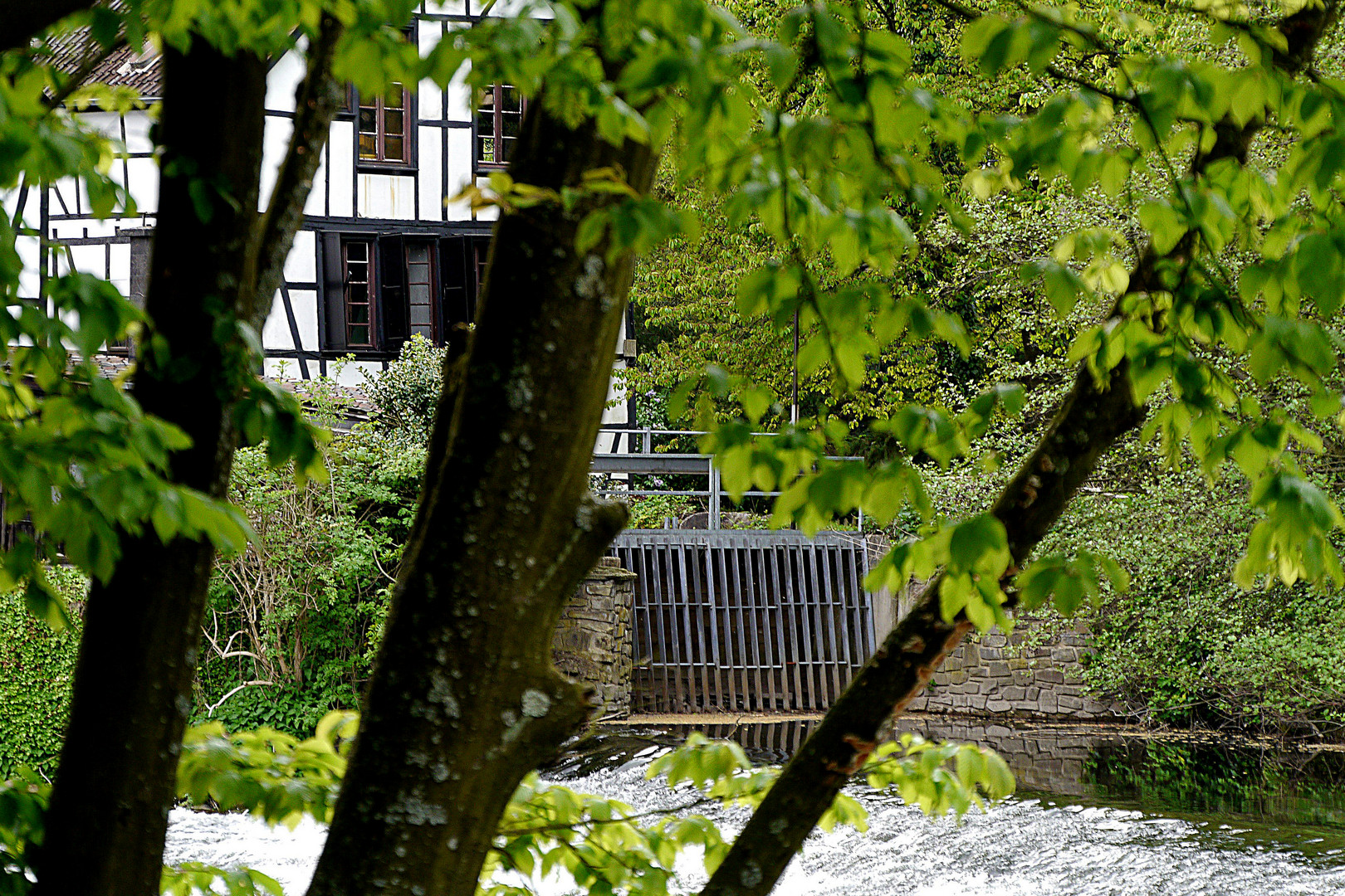 Wipperkotten zwischen dem Wehr der Wupper und den Bäumen.