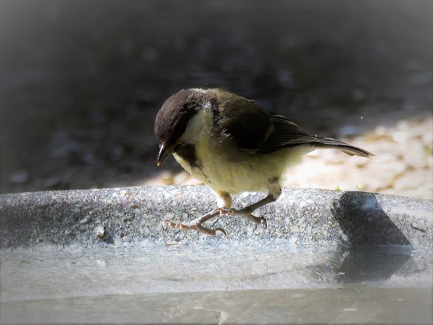 Wir alle brauchen Wasser zum Leben