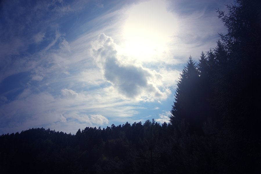 WIR ALLE HABEN DOCH DEN GLEICHEN HIMMEL ÜBER UNS SCHAUT NUR HINEIN