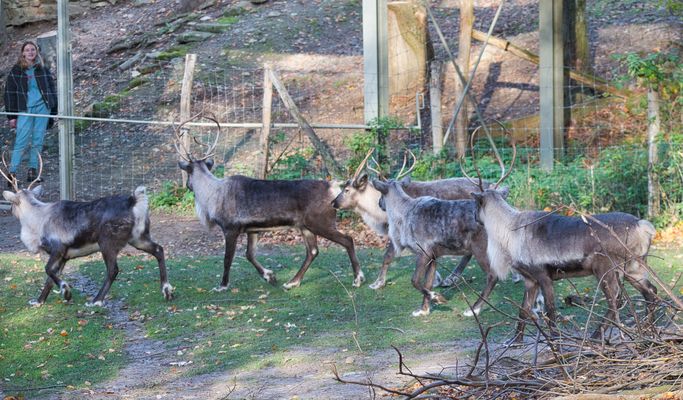 Wir alle haben Durchblick. 