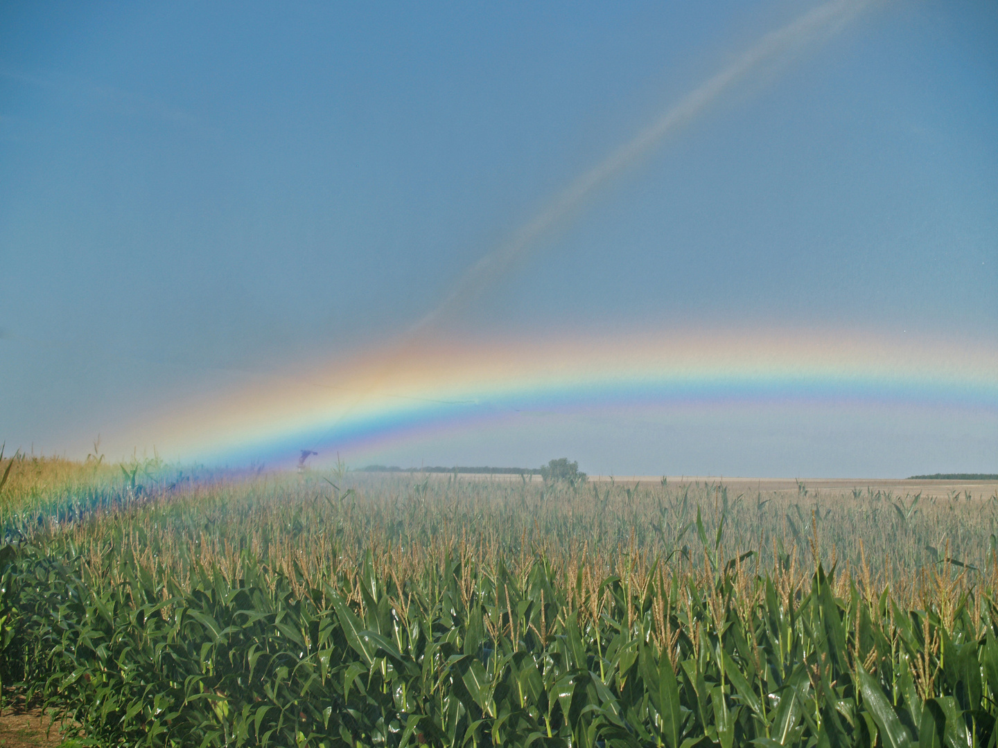 Wir basteln einen Regenbogen