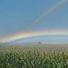 Wir basteln einen Regenbogen