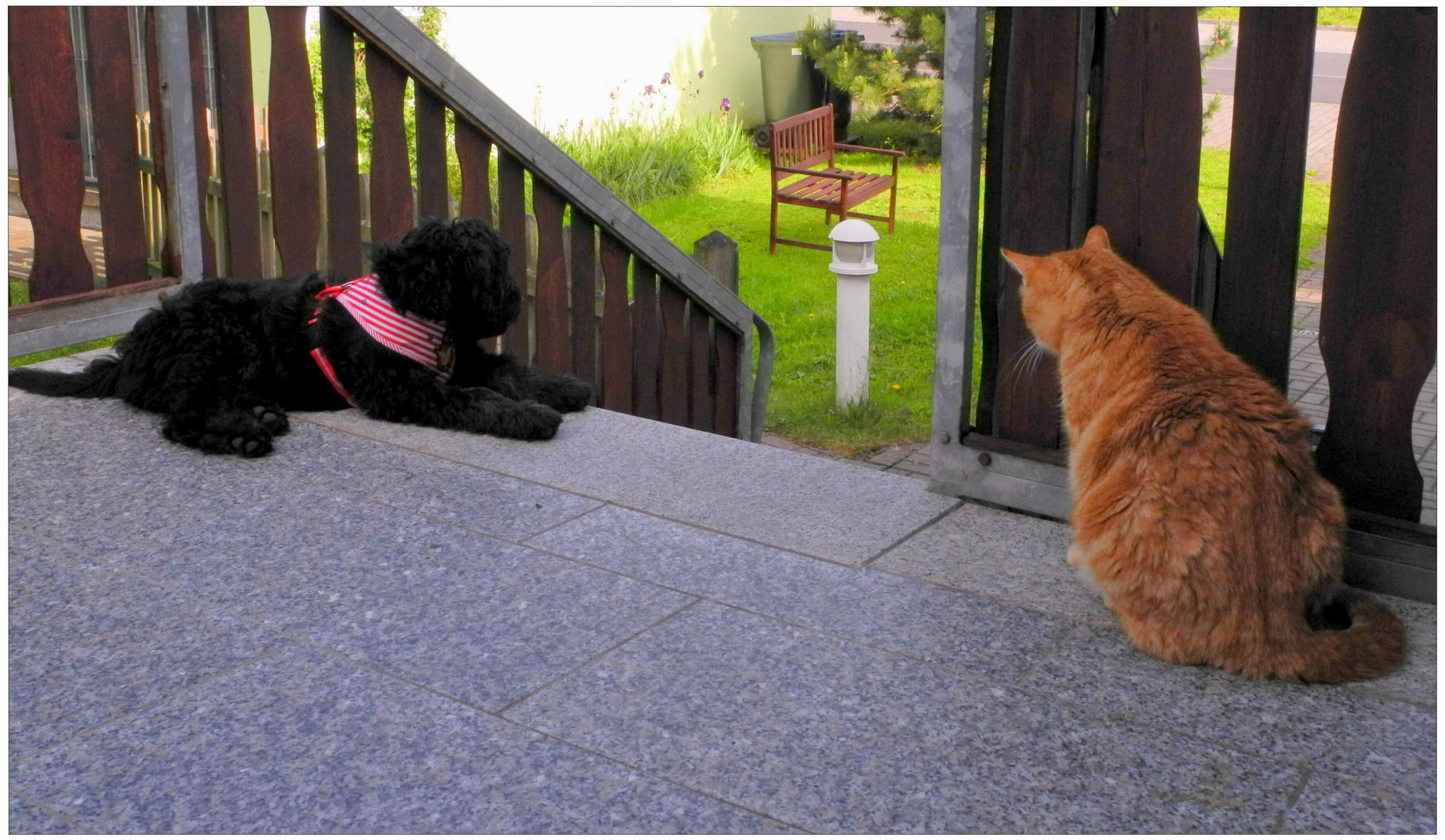 Wir bewachen gut unser Haus (Estamos vigilando bien nuestra casa)