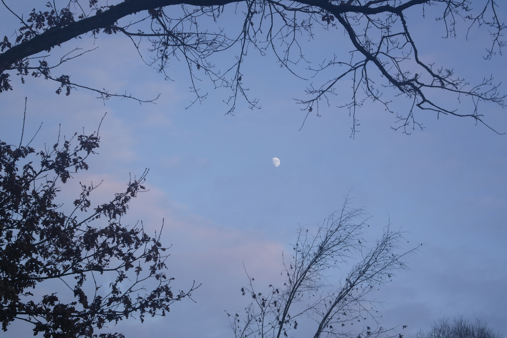 Wir bleiben Wach bis die Wolken wieder Lila sind