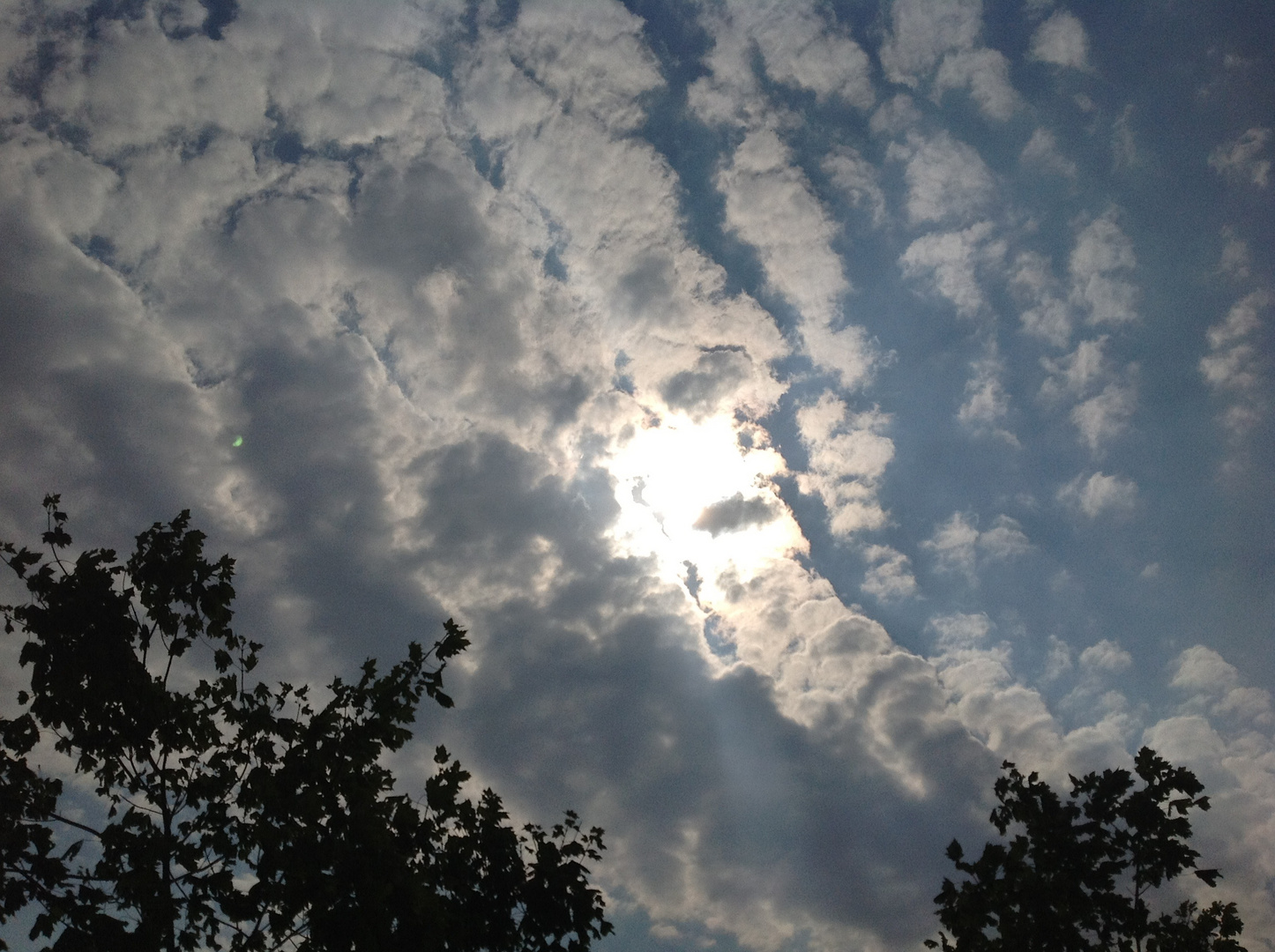 Wir Bleiben Wach Bis Die Wolken Wieder Lila Sind Download Wir Bleiben Wach Bis Die Wolken Wieder Lila Sind Download