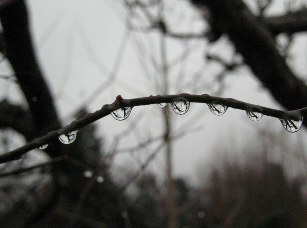 Wir brauchen Regen