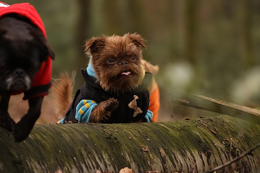 Wir brechen auf in den Frühling!