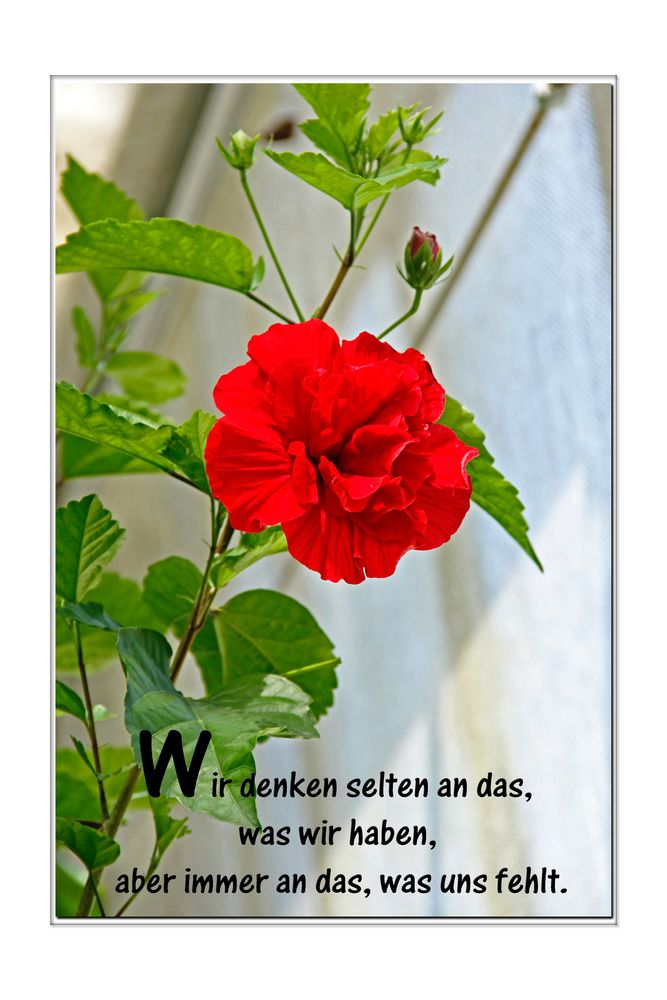 Wir Denken.......