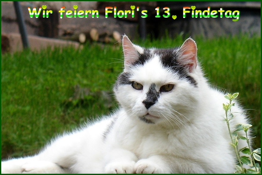 Wir feiern Floris 13. Findetag