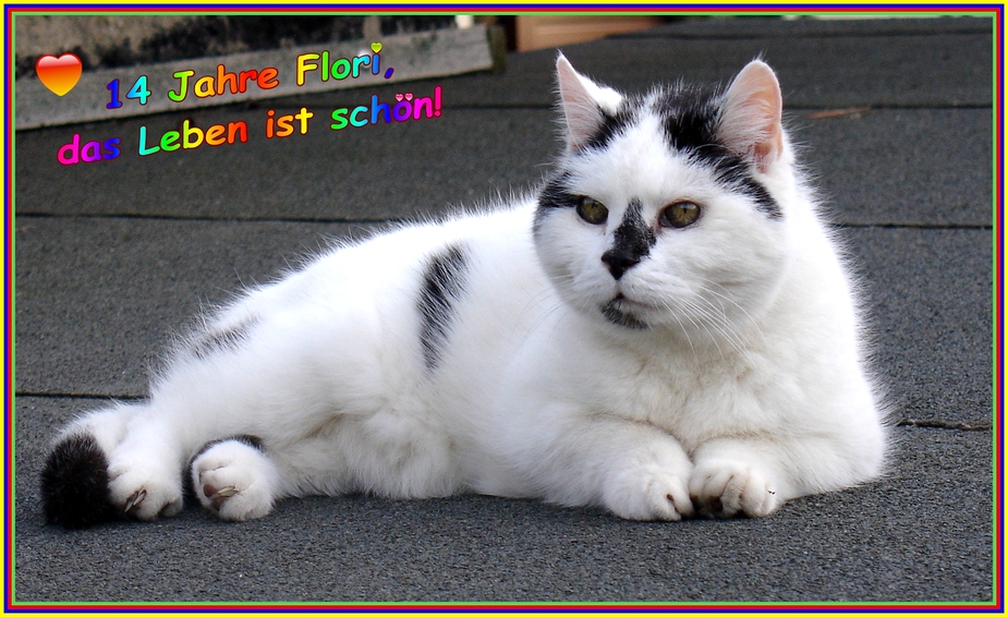 Wir feiern Floris 14. Findetag