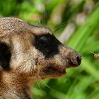 Wir feiern nur innerhalb der Familie