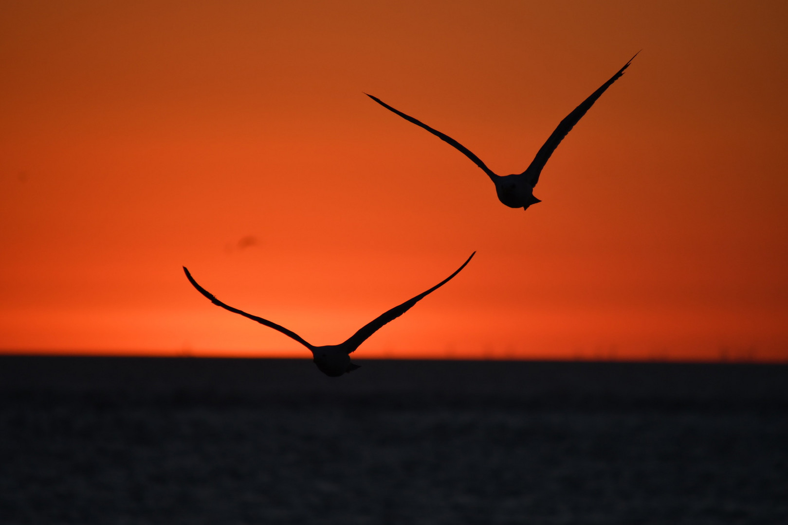 Wir fliegen gen Sonnenuntergang