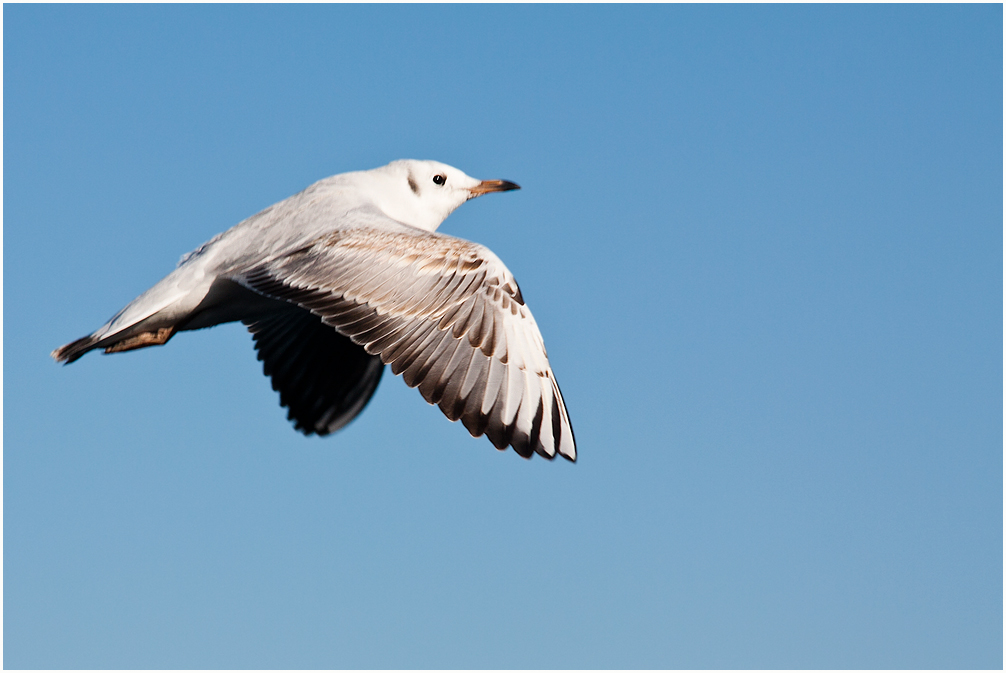 Wir fliegen ins Wochenende....