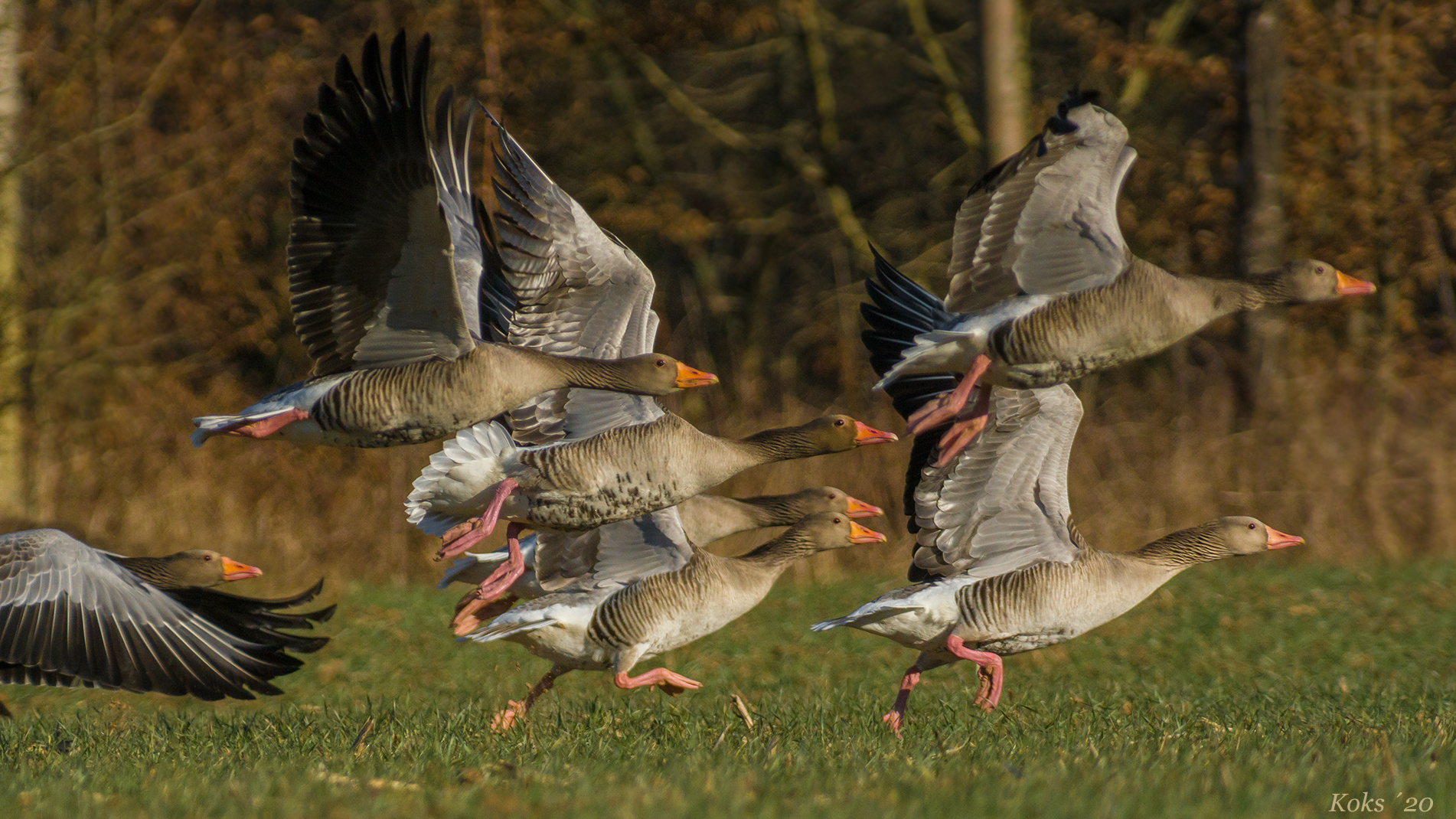 Wir fliegen in´s Wochenende