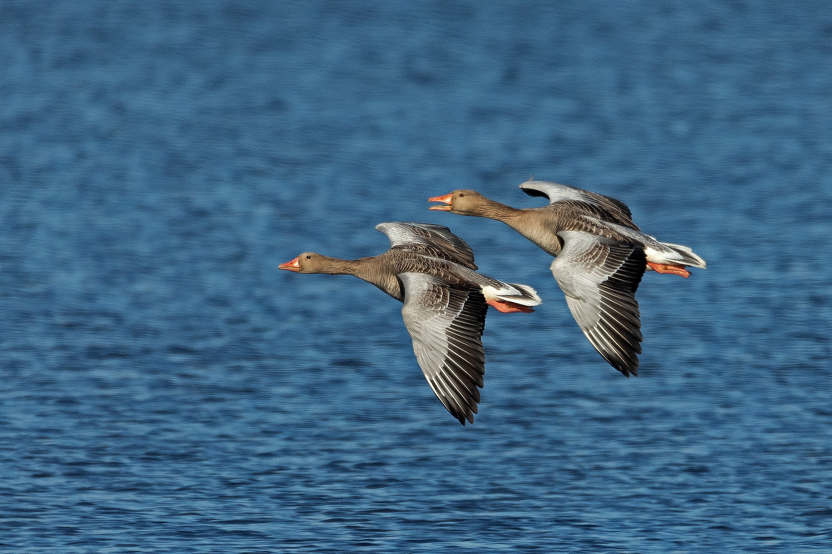 Wir fliegen über den See