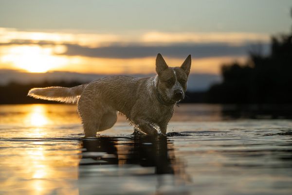 Wir gehen erst, wenn´s dunkel wird!